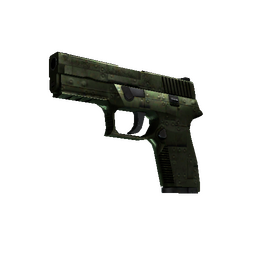 free cs2 skins StatTrak™ P250 | Iron Clad (Well-Worn)