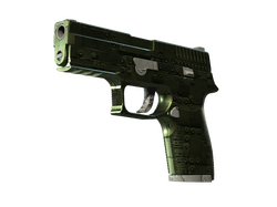 StatTrak P250 | Iron Clad