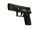 P250 | Iron Clad