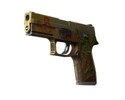 StatTrak P250 | Inferno