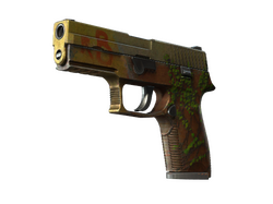 P250 | Inferno