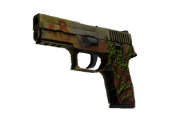 P250 | Inferno