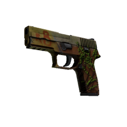 StatTrak™ P250 | Inferno (Battle-Scarred)