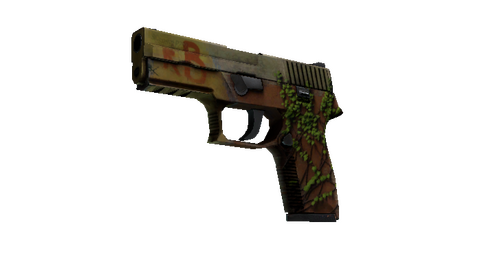 StatTrak™ P250 | Inferno (Battle-Scarred)