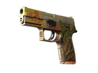 P250 | Inferno