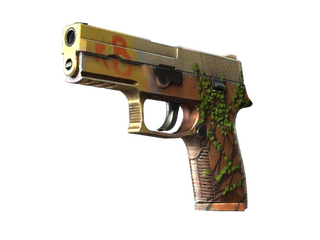 P250 | Inferno