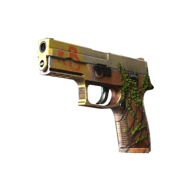 صورة مصغرة لـ StatTrak™ P250 | Inferno (Minimal Wear)