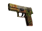 P250 | Inferno