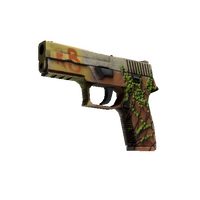 StatTrak™ P250 | Inferno (Factory New)