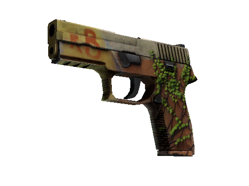 P250 | Inferno (Well-Worn)