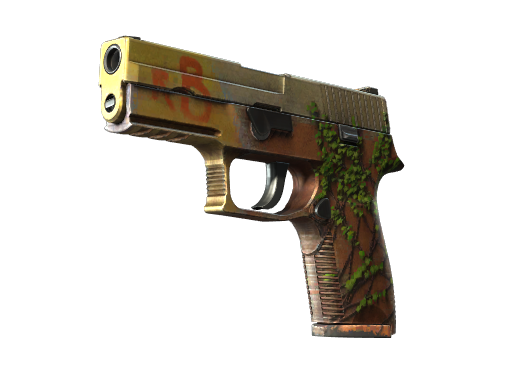 P250 | Inferno (Well-Worn)