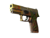 StatTrak™ P250 | Инферно (После полевых испытаний)