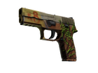 P250 | Inferno