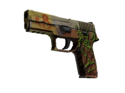 P250 | Inferno