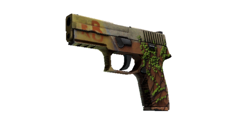 StatTrak™ P250 | Inferno (Field-Tested)