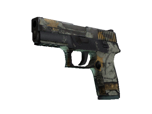 P250 | Modern Hunter (Battle-Scarred)