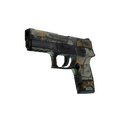 P250 | Modern Hunter (Battle-Scarred)