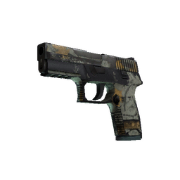 free cs2 skins P250 | Modern Hunter (Battle-Scarred)