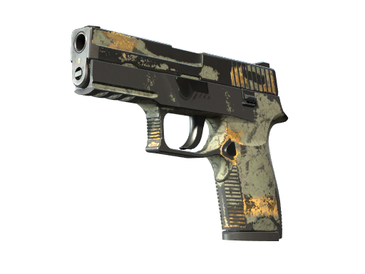 P250 | Modern Hunter