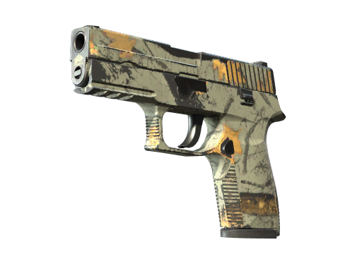 P250 | Modern Hunter (Field-Tested)