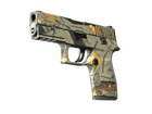 P250 | Modern Hunter