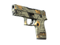 P250 | Modern Hunter