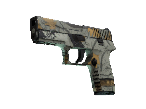 P250 | Modern Hunter (Well-Worn)