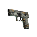 P250 | Modern Hunter (Well-Worn)