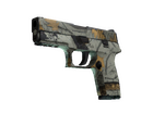 P250 | Modern Hunter