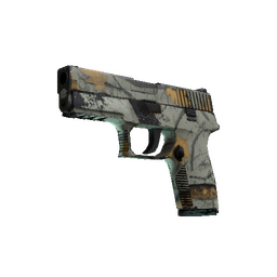 free csgo skin P250 | Modern Hunter (Well-Worn)