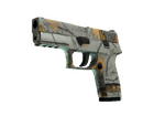 P250 | Modern Hunter