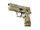 P250 | Modern Hunter