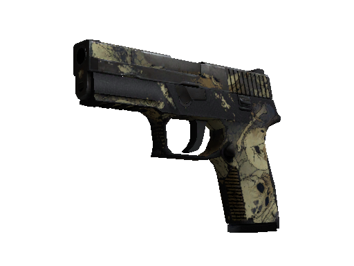 P250 | Contamination (Battle-Scarred)