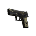 P250 | Contamination (Battle-Scarred)