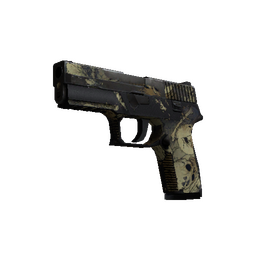 P250 | Contamination (Battle-Scarred)