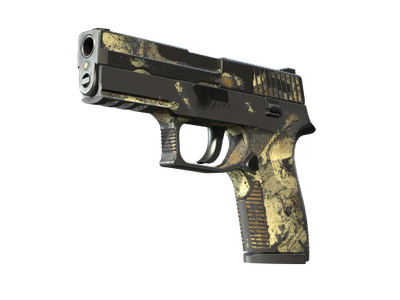 P250 (Souvenir) | Contamination