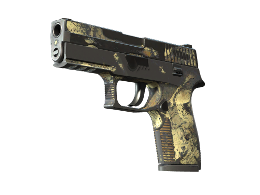 P250 | Contamination