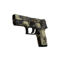 P250 | Contamination (Field-Tested)