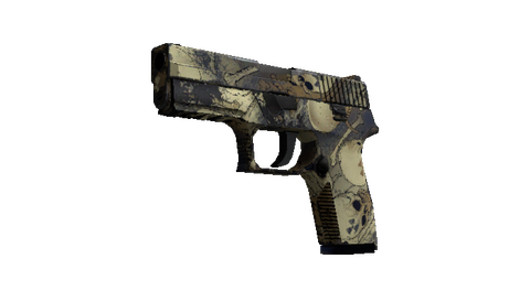 Souvenir P250 | Contamination (Field-Tested)