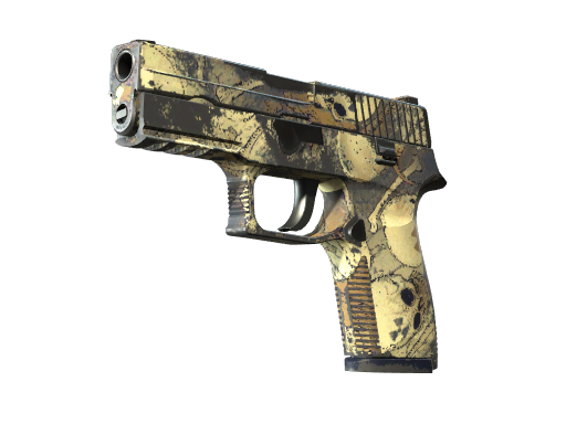 P250 | Contamination (Field-Tested)