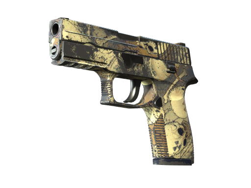 P250 | Contamination (Com Pouco Uso)