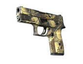 P250 | Contamination (Field-Tested)