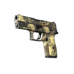 P250 | Contamination (Field-Tested)