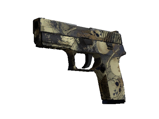 P250 | Contamination (Field-Tested)