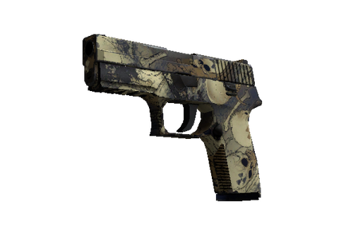 Souvenir P250 | Contamination (Field-Tested) Prices