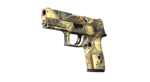 P250 | Contamination (Minimal Wear)