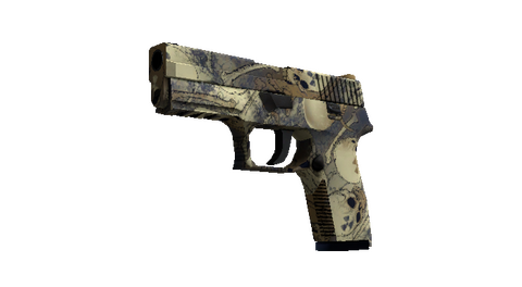 P250 | Contamination (Minimal Wear)