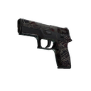 P250 | Facility Draft (Battle-Scarred)