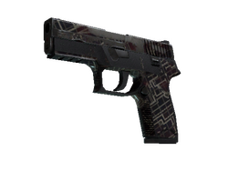 P250 | Facility Draft