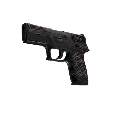 P250 | Facility Draft